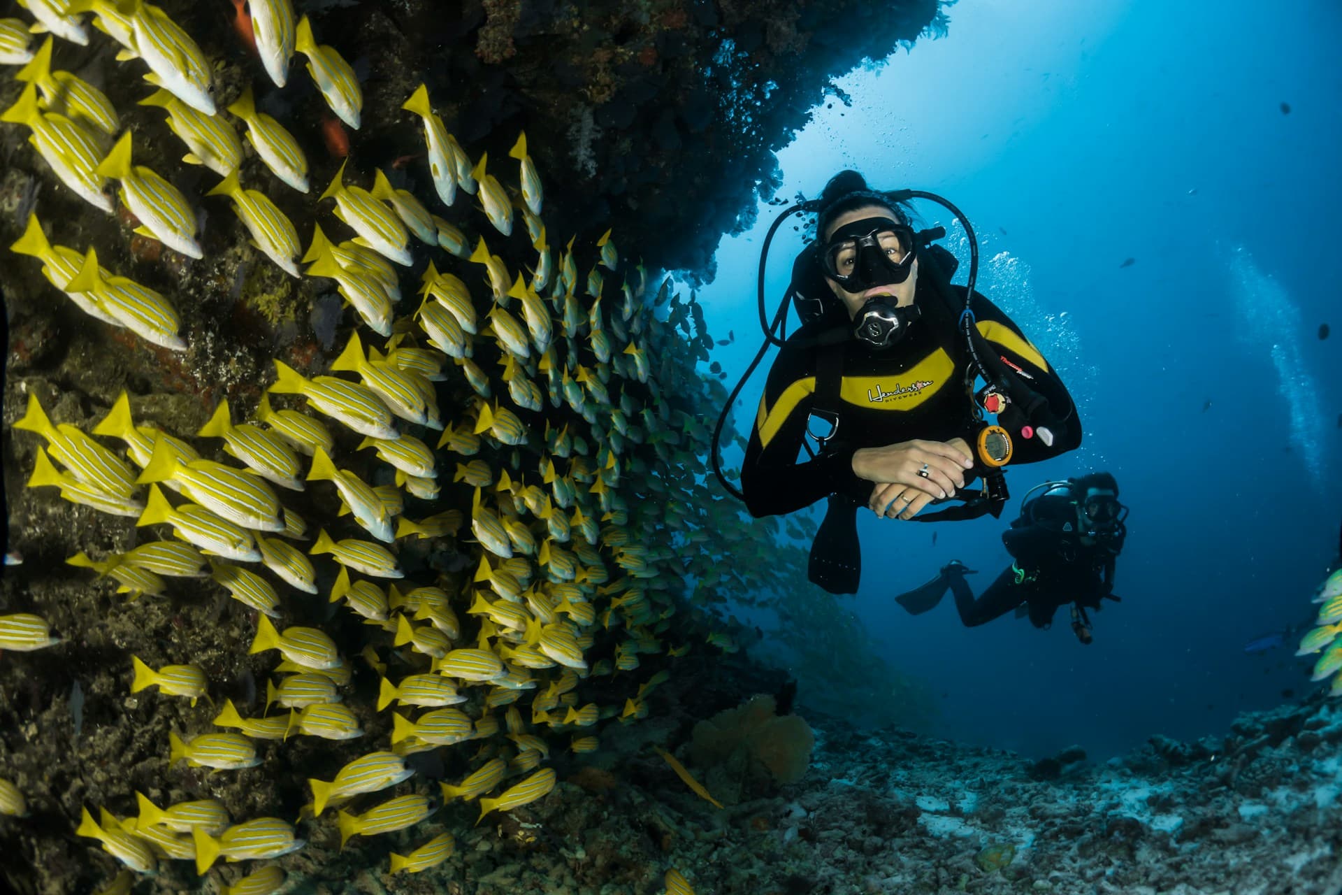 Scuba diver swimming near a colorful coral reef