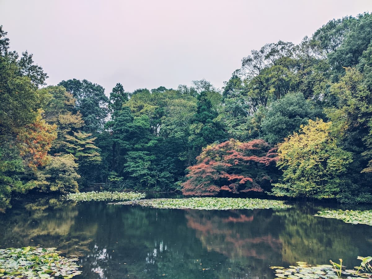 Hidden gem location in Tokyo, Japan — off the beaten path