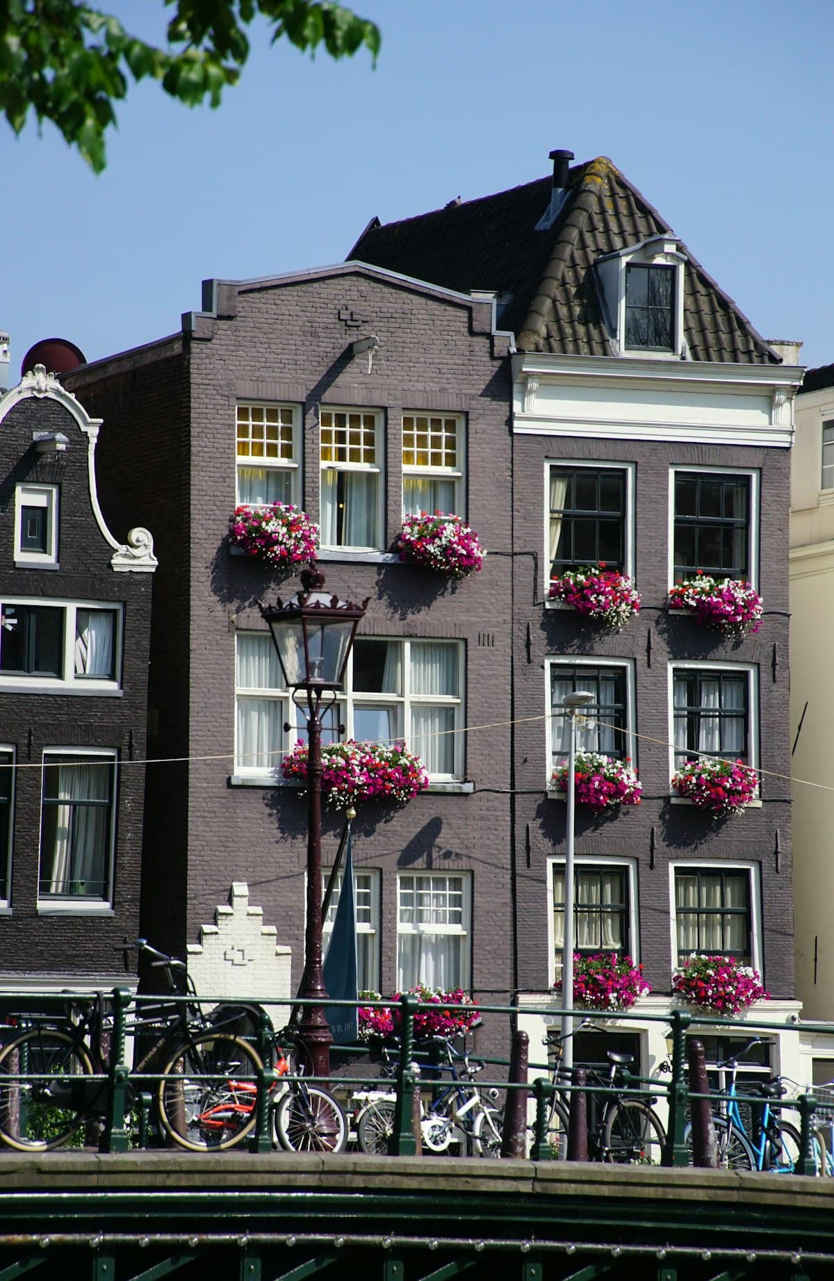 Charming neighborhood street in Amsterdam, Netherlands — where to stay guide