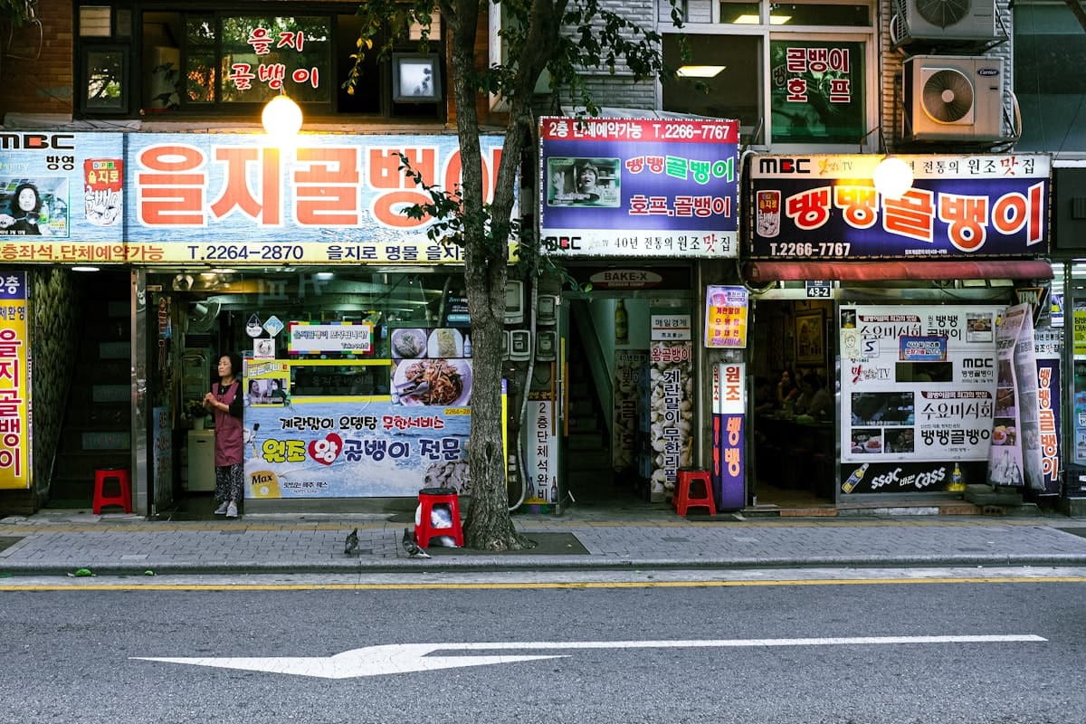 Solo traveler exploring Seoul, South Korea safely