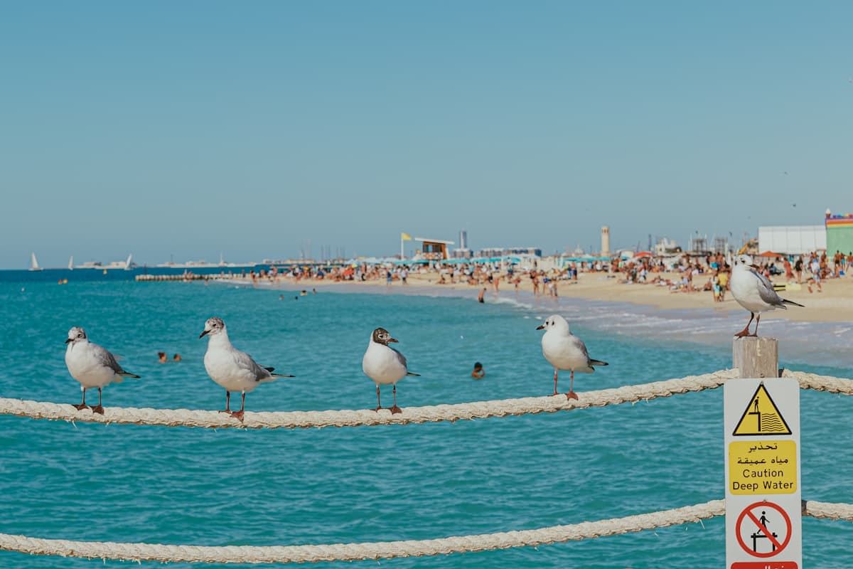 Day trip destination near Dubai, United Arab Emirates — excursion guide