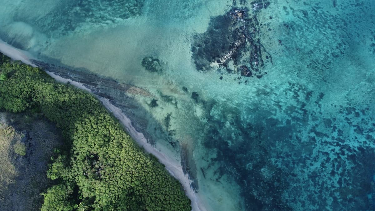 Charming neighborhood street in Fiji, Fiji — where to stay guide