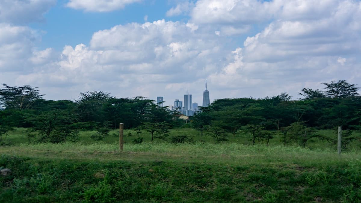 Scenic view of Nairobi, Kenya — best time to visit guide