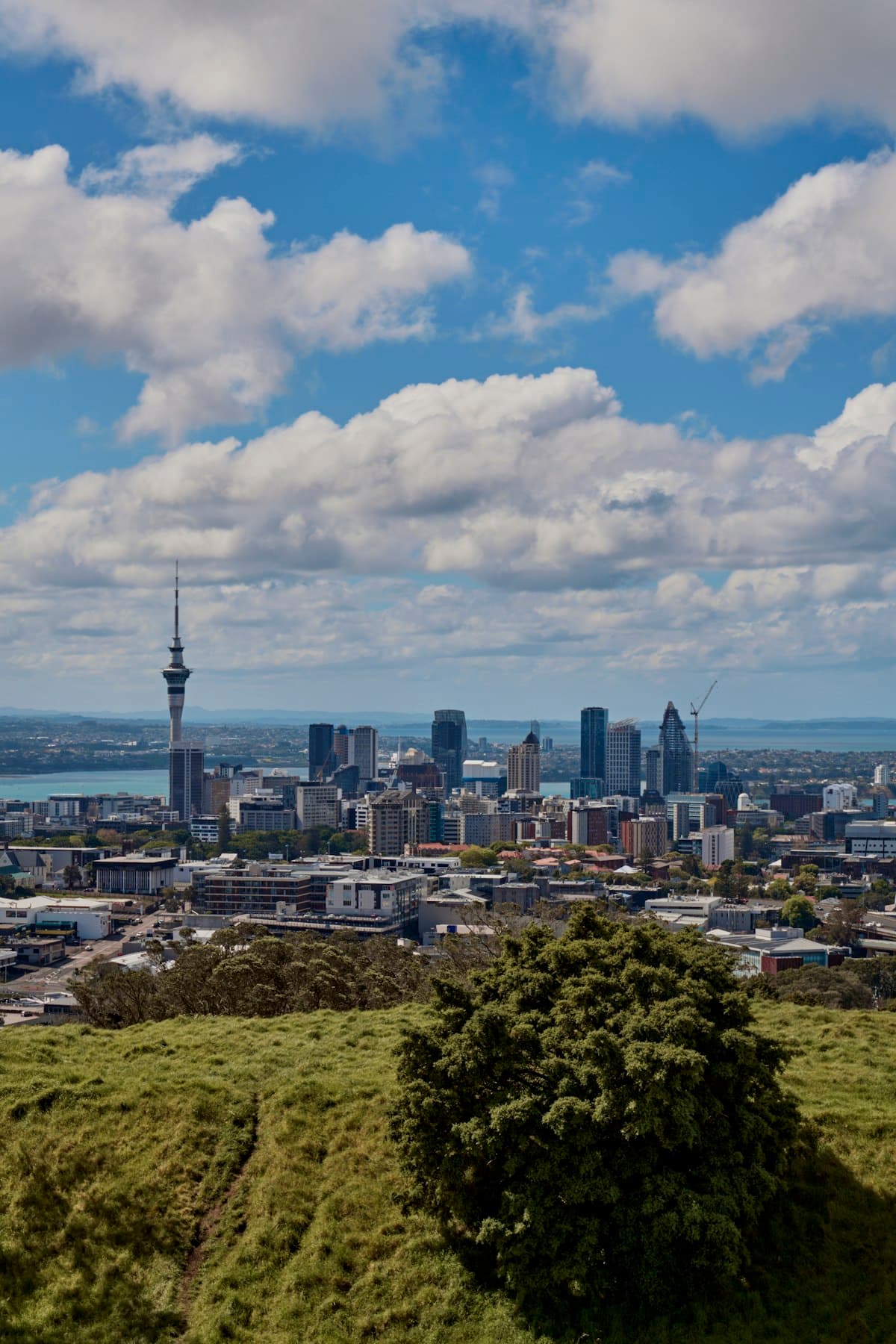 First-time visitor exploring Auckland, New Zealand